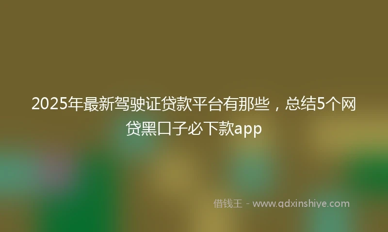 2025年最新驾驶证贷款平台有那些，总结5个网贷黑口子必下款app
