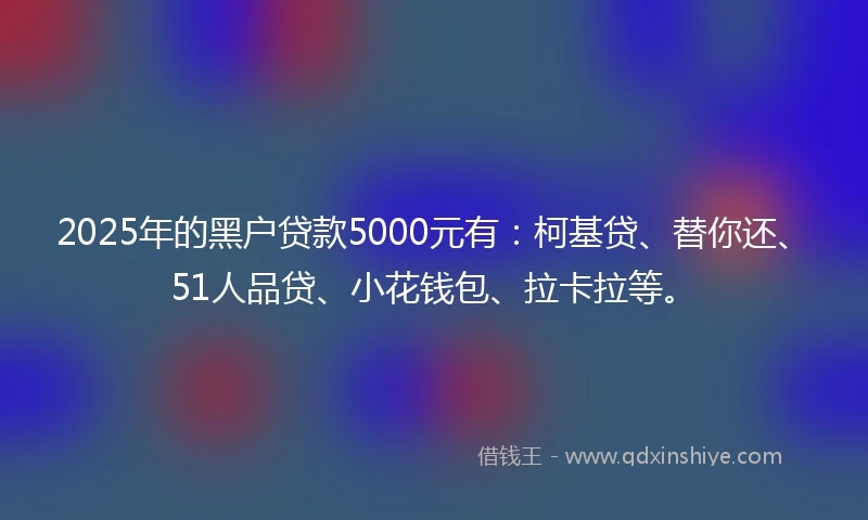 2025年的黑户贷款5000元有：柯基贷、替你还、51人品贷、小花钱包、拉卡拉等。