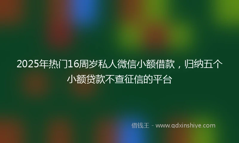 2025年热门16周岁私人微信小额借款，归纳五个小额贷款不查征信的平台