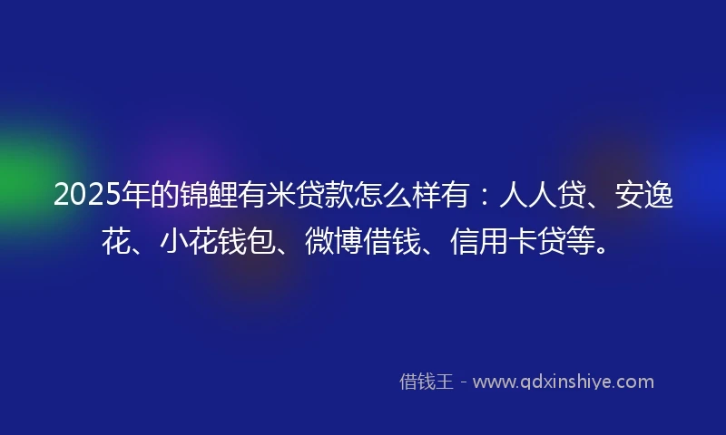 2025年的锦鲤有米贷款怎么样有：人人贷、安逸花、小花钱包、微博借钱、信用卡贷等。