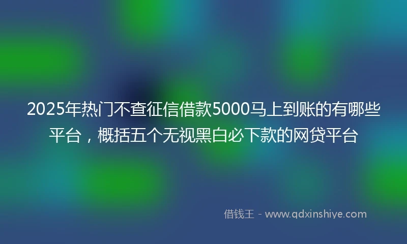 2025年热门不查征信借款5000马上到账的有哪些平台，概括五个无视黑白必下款的网贷平台
