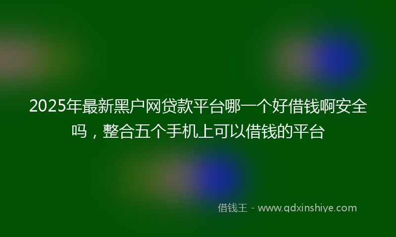 2025年最新黑户网贷款平台哪一个好借钱啊安全吗，整合五个手机上可以借钱的平台