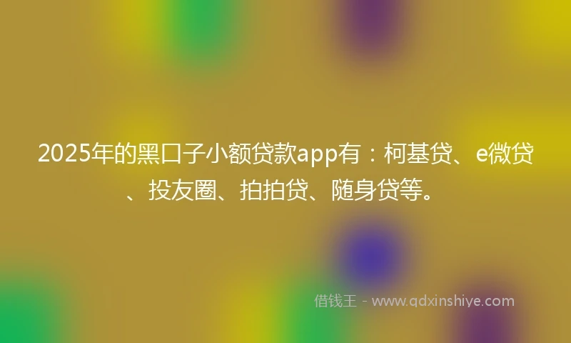 2025年的黑口子小额贷款app有：柯基贷、e微贷、投友圈、拍拍贷、随身贷等。