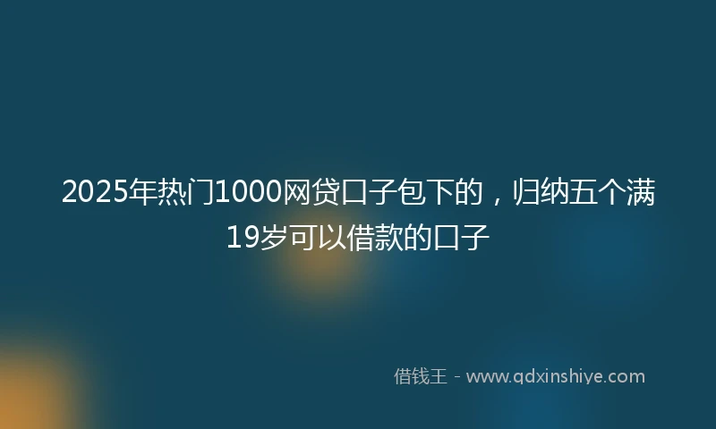 2025年热门1000网贷口子包下的，归纳五个满19岁可以借款的口子