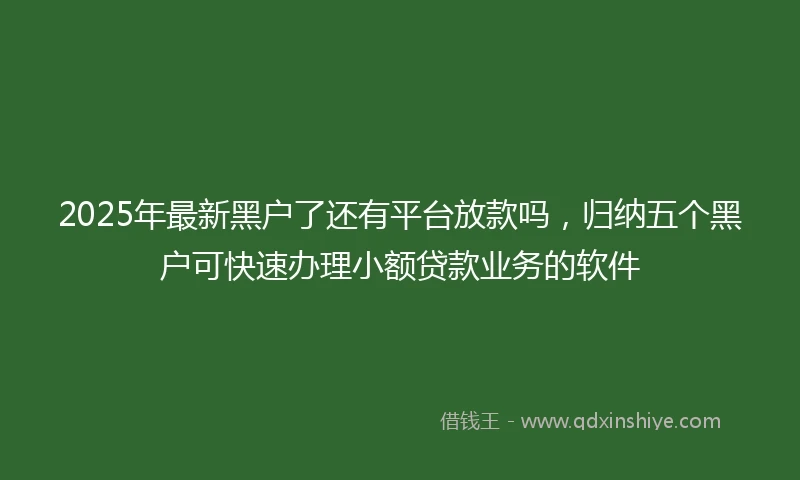 2025年最新黑户了还有平台放款吗，归纳五个黑户可快速办理小额贷款业务的软件