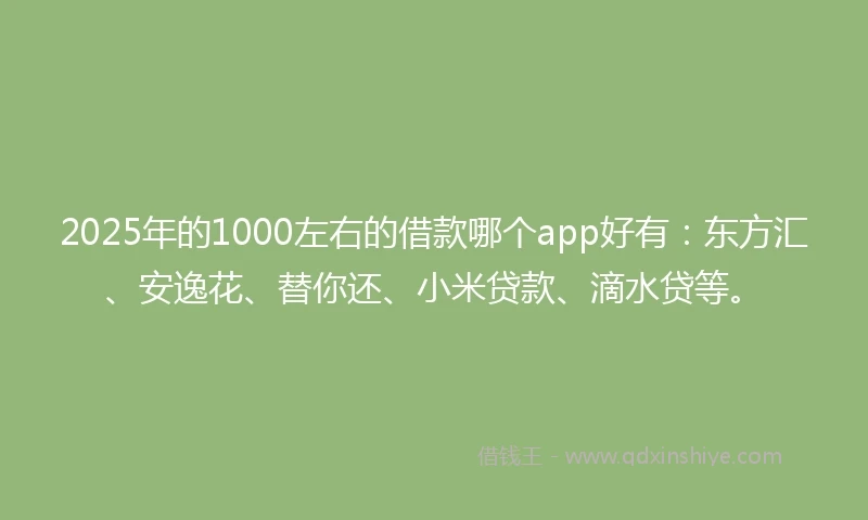 2025年的1000左右的借款哪个app好有：东方汇、安逸花、替你还、小米贷款、滴水贷等。