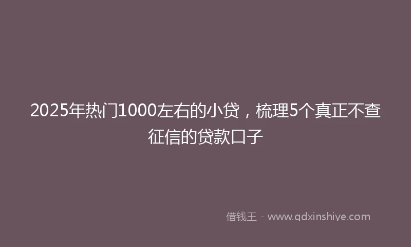 2025年热门1000左右的小贷，梳理5个真正不查征信的贷款口子
