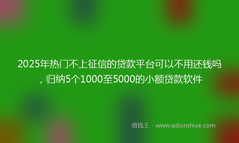 2025年热门不上征信的贷款平台可以不用还钱吗，归纳5个1000至5000的小额贷款软件
