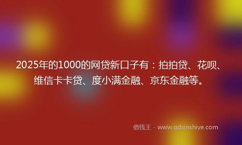 2025年的1000的网贷新口子有：拍拍贷、花呗、维信卡卡贷、度小满金融、京东金融等。