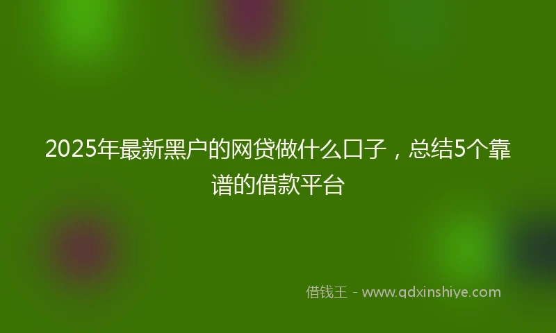 2025年最新黑户的网贷做什么口子，总结5个靠谱的借款平台