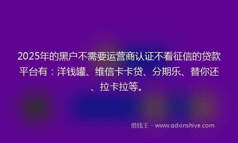 2025年的黑户不需要运营商认证不看征信的贷款平台有：洋钱罐、维信卡卡贷、分期乐、替你还、拉卡拉等。