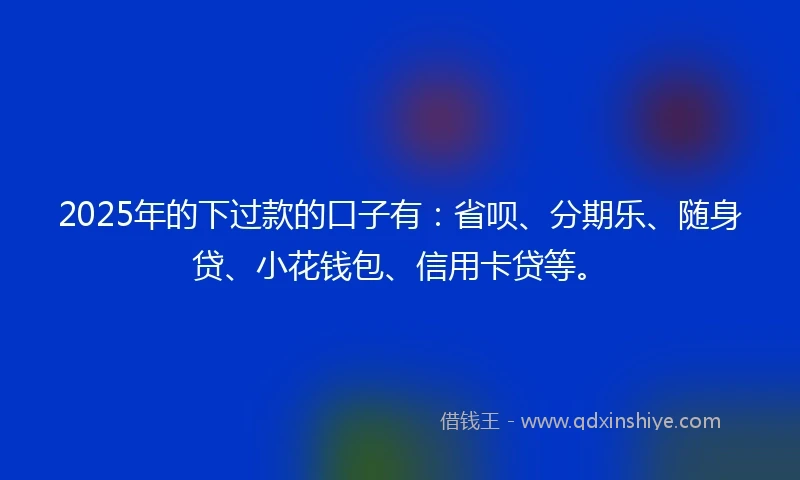 2025年的下过款的口子有：省呗、分期乐、随身贷、小花钱包、信用卡贷等。