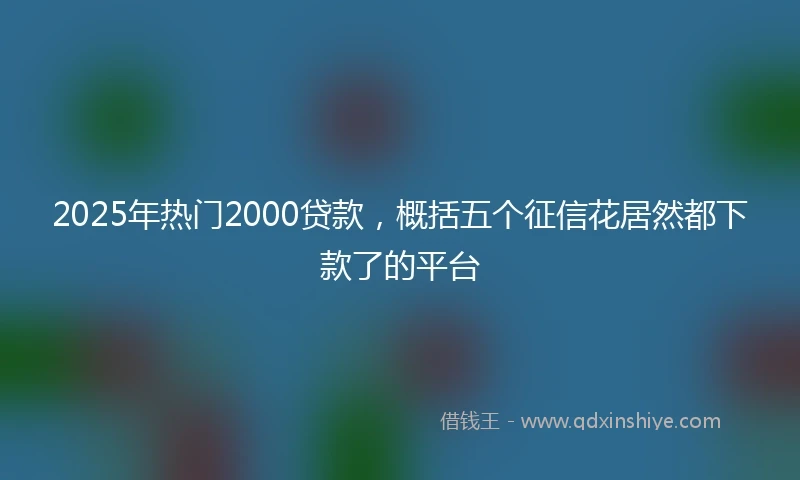 2025年热门2000贷款，概括五个征信花居然都下款了的平台