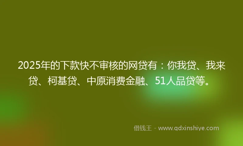 2025年的下款快不审核的网贷有：你我贷、我来贷、柯基贷、中原消费金融、51人品贷等。