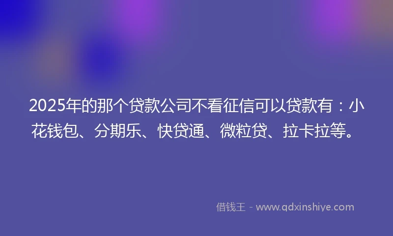 2025年的那个贷款公司不看征信可以贷款有：小花钱包、分期乐、快贷通、微粒贷、拉卡拉等。