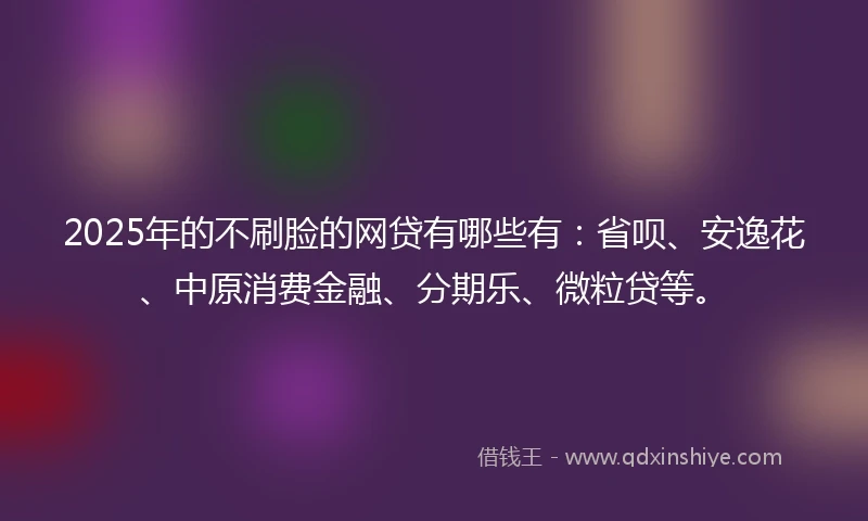 2025年的不刷脸的网贷有哪些有：省呗、安逸花、中原消费金融、分期乐、微粒贷等。