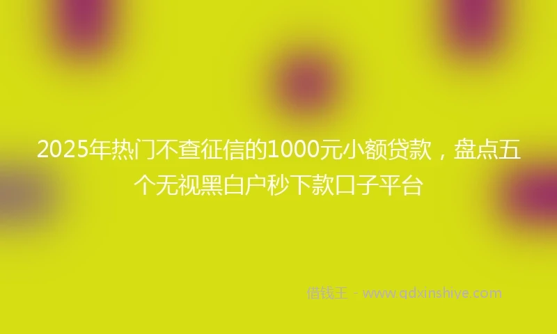 2025年热门不查征信的1000元小额贷款，盘点五个无视黑白户秒下款口子平台