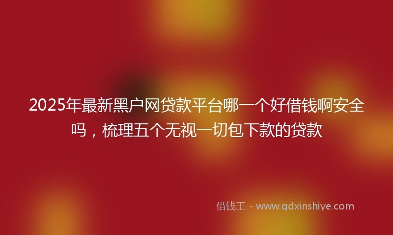 2025年最新黑户网贷款平台哪一个好借钱啊安全吗，梳理五个无视一切包下款的贷款