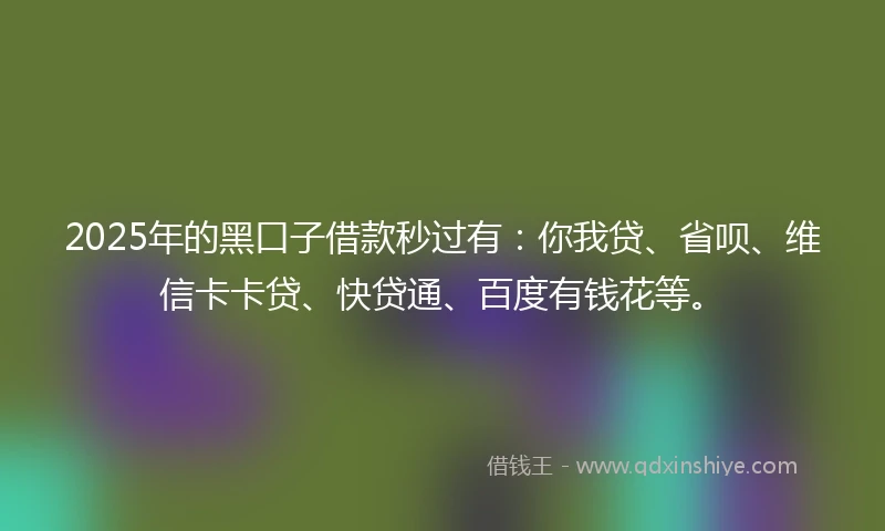 2025年的黑口子借款秒过有：你我贷、省呗、维信卡卡贷、快贷通、百度有钱花等。
