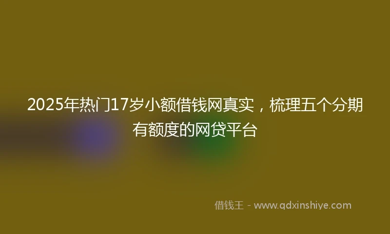 2025年热门17岁小额借钱网真实，梳理五个分期有额度的网贷平台
