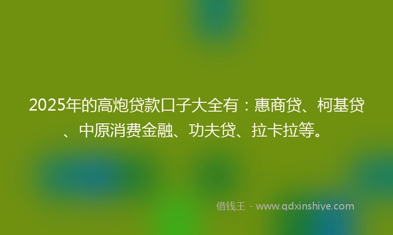 2025年的高炮贷款口子大全有：惠商贷、柯基贷、中原消费金融、功夫贷、拉卡拉等。