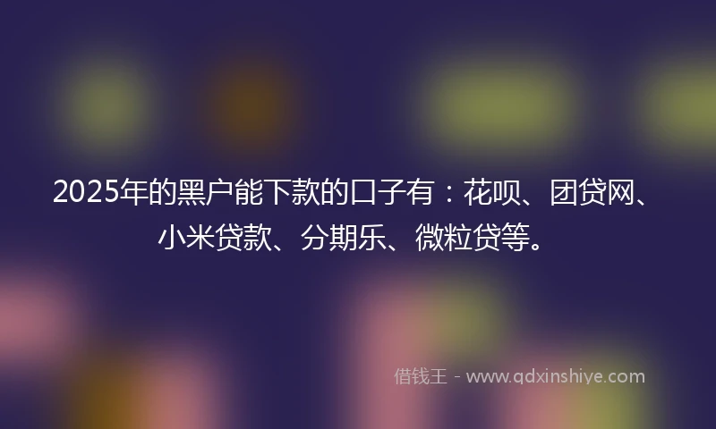 2025年的黑户能下款的口子有：花呗、团贷网、小米贷款、分期乐、微粒贷等。
