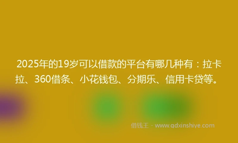 2025年的19岁可以借款的平台有哪几种有：拉卡拉、360借条、小花钱包、分期乐、信用卡贷等。