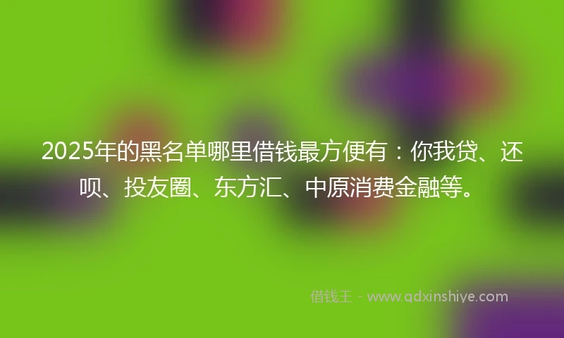 2025年的黑名单哪里借钱最方便有：你我贷、还呗、投友圈、东方汇、中原消费金融等。