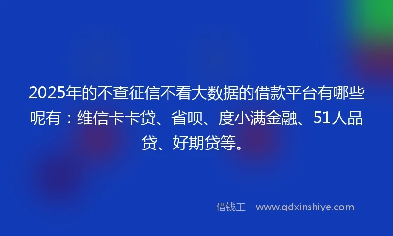 2025年的不查征信不看大数据的借款平台有哪些呢有：维信卡卡贷、省呗、度小满金融、51人品贷、好期贷等。