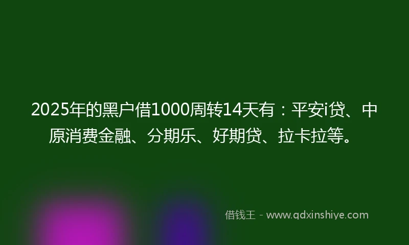 2025年的黑户借1000周转14天有：平安i贷、中原消费金融、分期乐、好期贷、拉卡拉等。