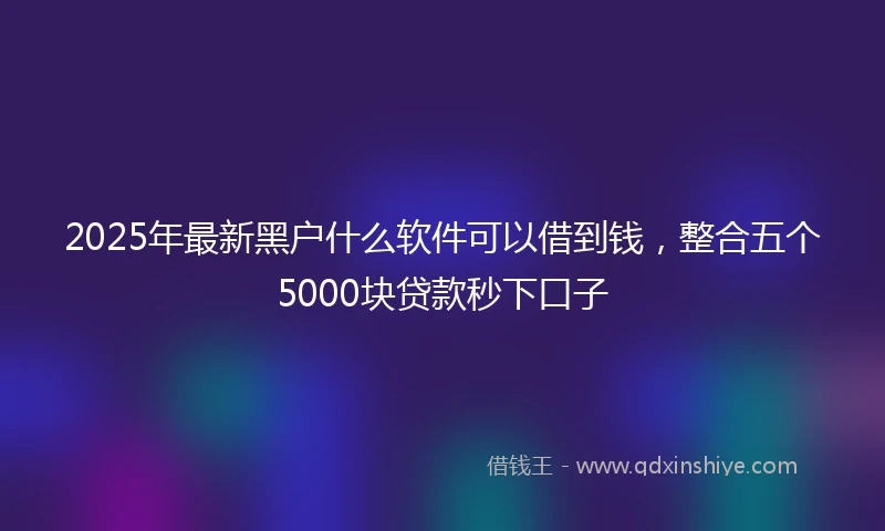 2025年最新黑户什么软件可以借到钱，整合五个5000块贷款秒下口子