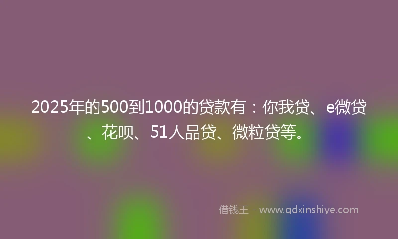 2025年的500到1000的贷款有：你我贷、e微贷、花呗、51人品贷、微粒贷等。