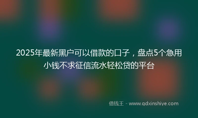 2025年最新黑户可以借款的口子，盘点5个急用小钱不求征信流水轻松贷的平台