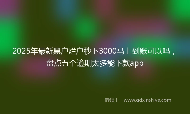 2025年最新黑户烂户秒下3000马上到账可以吗,盘点五个逾期太多能下款app
