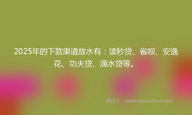 2025年的下款渠道放水有：读秒贷、省呗、安逸花、功夫贷、滴水贷等。