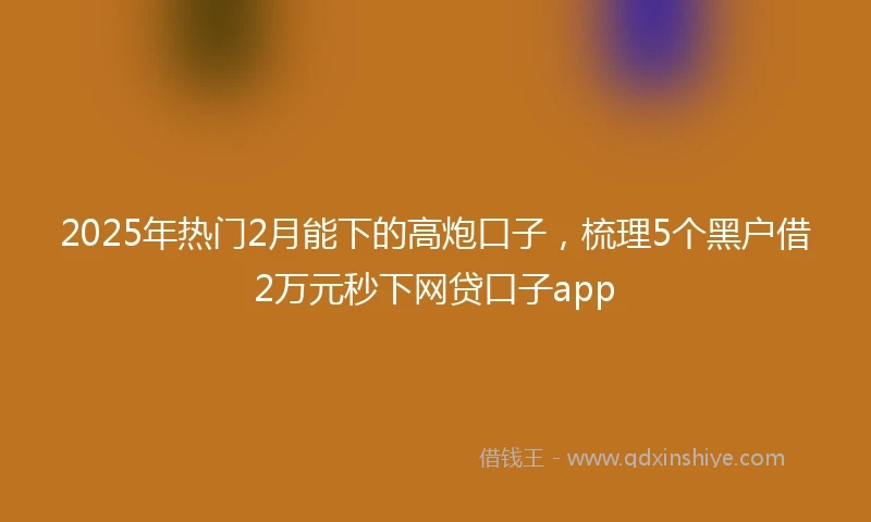 2025年热门2月能下的高炮口子，梳理5个黑户借2万元秒下网贷口子app