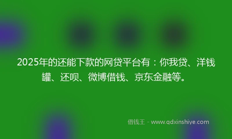 2025年的还能下款的网贷平台有：你我贷、洋钱罐、还呗、微博借钱、京东金融等。