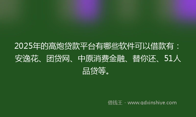 2025年的高炮贷款平台有哪些软件可以借款有：安逸花、团贷网、中原消费金融、替你还、51人品贷等。