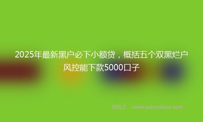2025年最新黑户必下小额贷，概括五个双黑烂户风控能下款5000口子