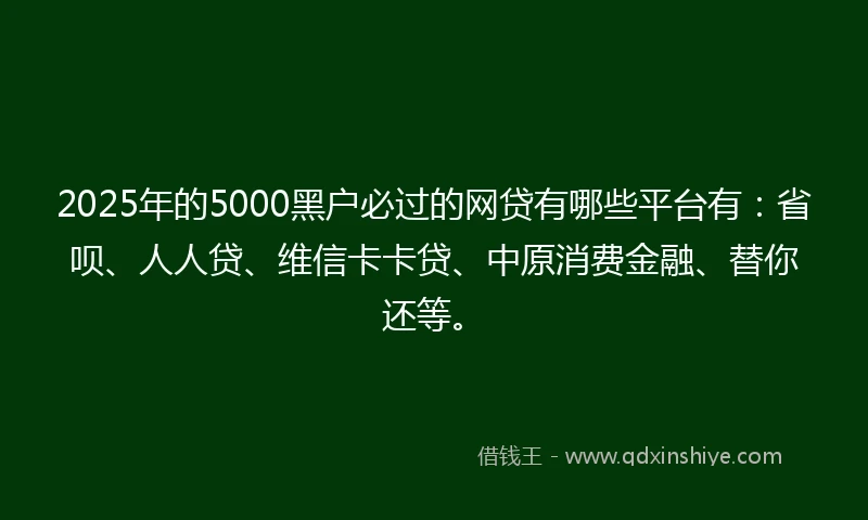 2025年的5000黑户必过的网贷有哪些平台有:省呗、人人贷、维信卡卡贷、中原消费金融、替你还等。