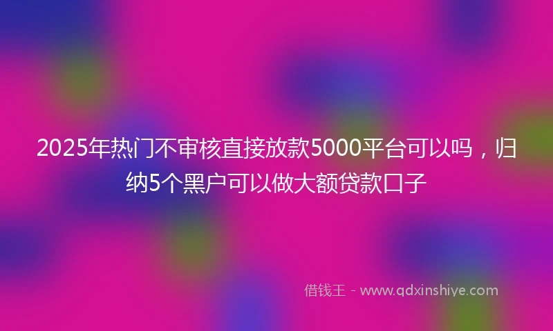 2025年热门不审核直接放款5000平台可以吗，归纳5个黑户可以做大额贷款口子