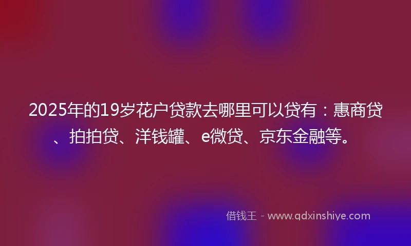 2025年的19岁花户贷款去哪里可以贷有：惠商贷、拍拍贷、洋钱罐、e微贷、京东金融等。