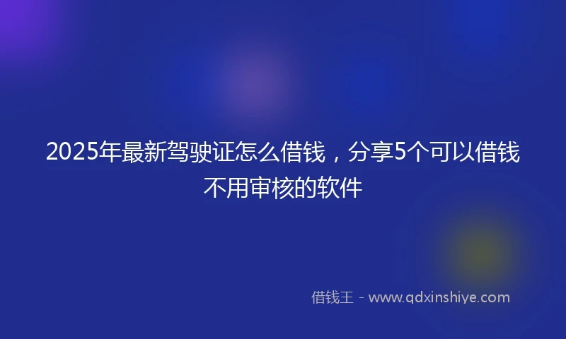 2025年最新驾驶证怎么借钱，分享5个可以借钱不用审核的软件
