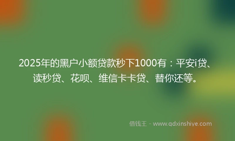 2025年的黑户小额贷款秒下1000有：平安i贷、读秒贷、花呗、维信卡卡贷、替你还等。