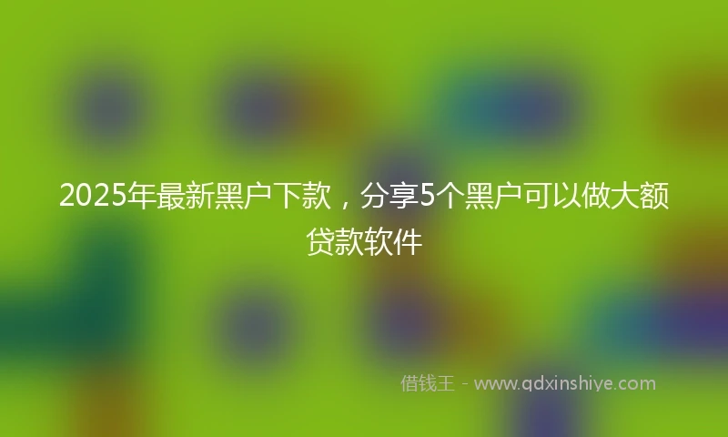 2025年最新黑户下款，分享5个黑户可以做大额贷款软件