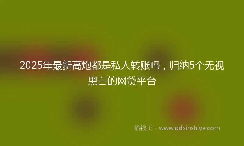 2025年最新高炮都是私人转账吗,归纳5个无视黑白的网贷平台