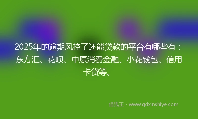 2025年的逾期风控了还能贷款的平台有哪些有：东方汇、花呗、中原消费金融、小花钱包、信用卡贷等。