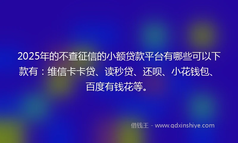 2025年的不查征信的小额贷款平台有哪些可以下款有：维信卡卡贷、读秒贷、还呗、小花钱包、百度有钱花等。