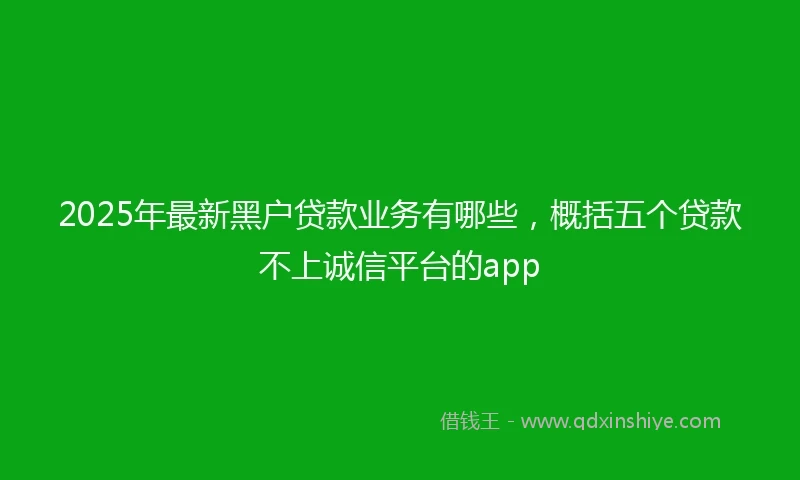2025年最新黑户贷款业务有哪些，概括五个贷款不上诚信平台的app