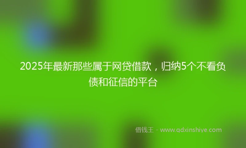 2025年最新那些属于网贷借款，归纳5个不看负债和征信的平台